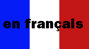 französische Fahne